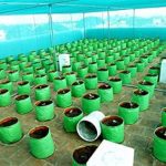 HDPE-Grow-Bag
