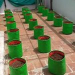 HDPE-Grow-Bag